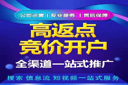百度SEO推广公司经典之作：打造行业领先品牌